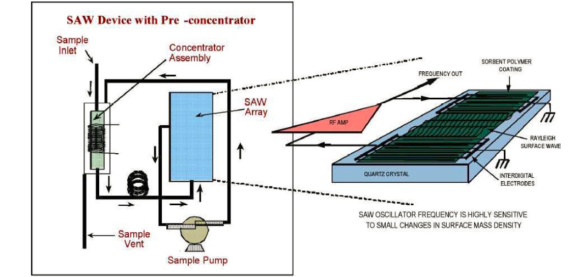 Surface Acoustic Wave Sensor Technology