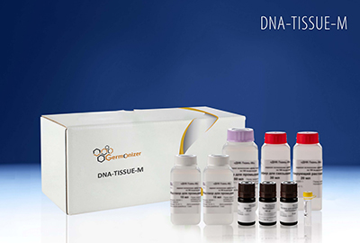 DNA Isolation From FFPE Blocks