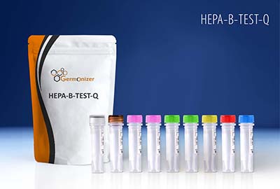 Hepa B Test Q Kit