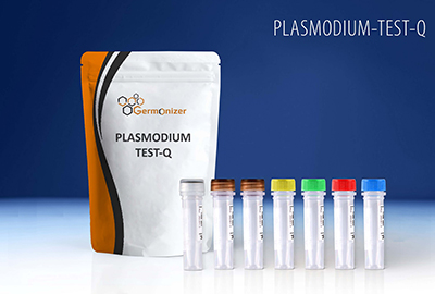 Plasmodium Test Q