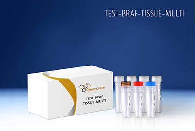BRAF Test Kit
